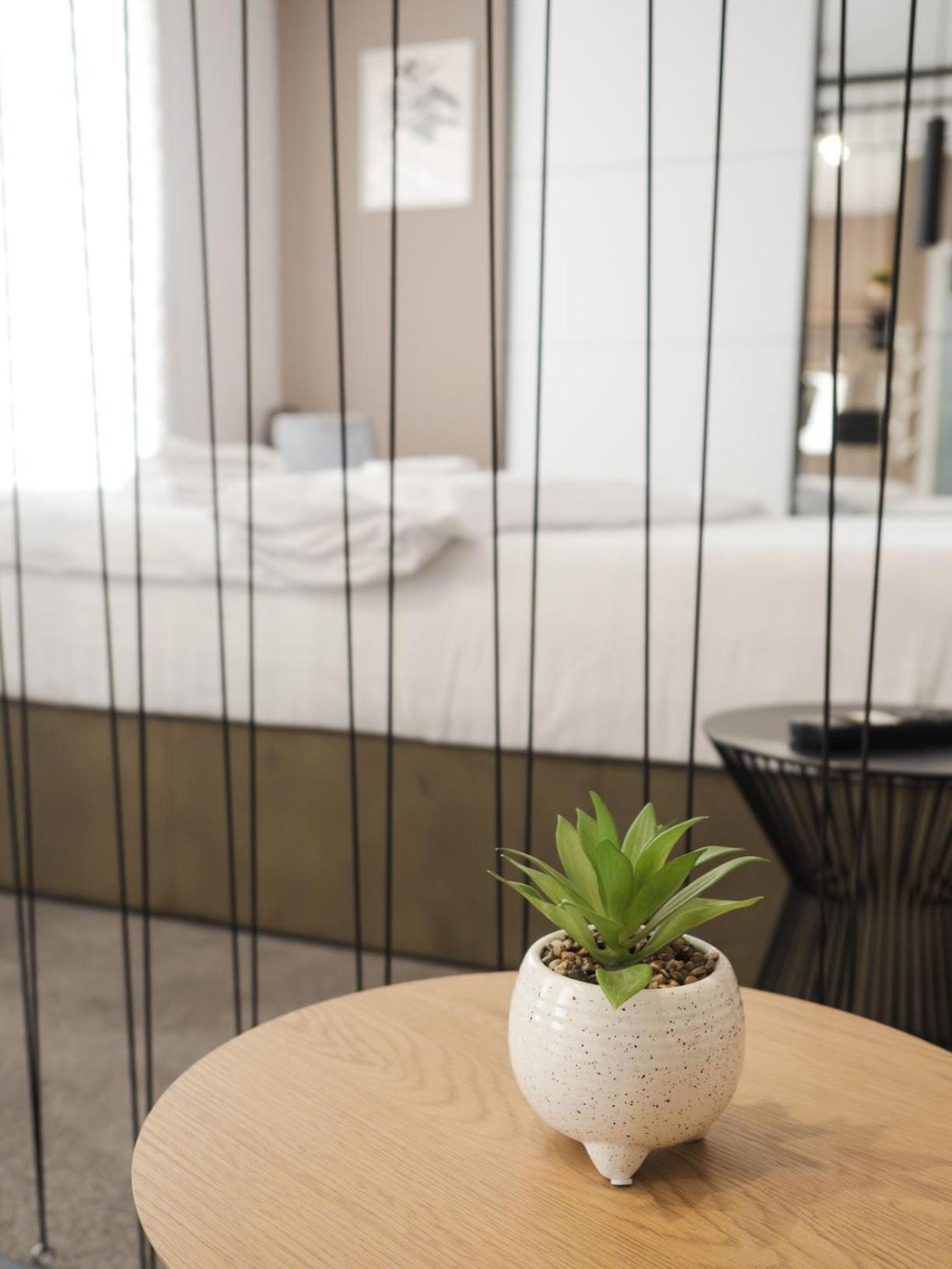 Gavas Cozy Studios Central David Prodan Kaloşvar Dış mekan fotoğraf